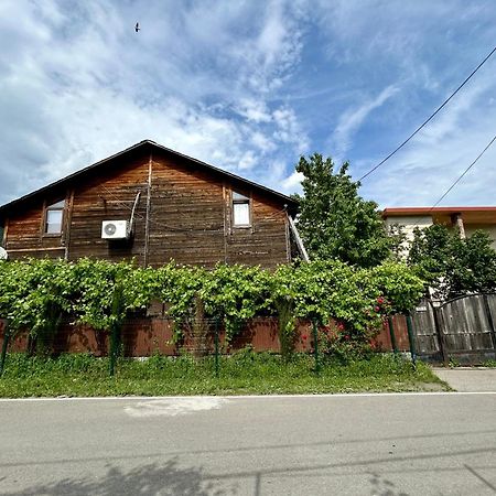 ❆Cozy, 4 Br. Villa In Ananuri❆ Eksteriør billede